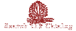 Search the Catalog
