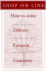 Shop on line